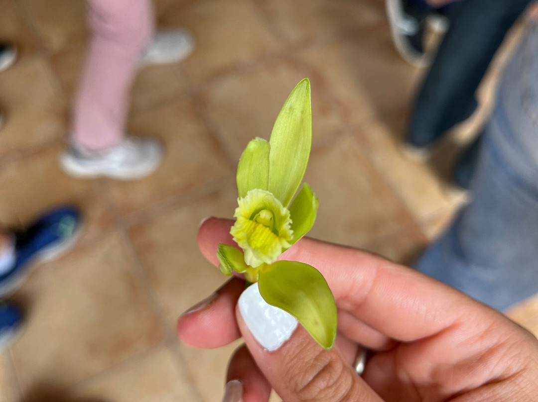 Plantation Vanille Rouloff景点图片