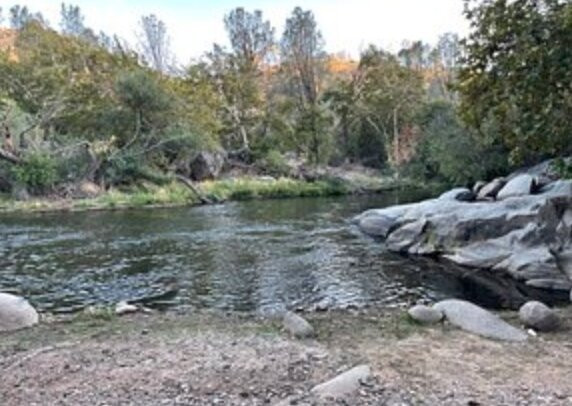 Whispering Pines Lodge主图