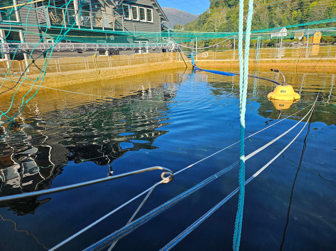 Hardanger Akvasenter-Steinsto必去景点