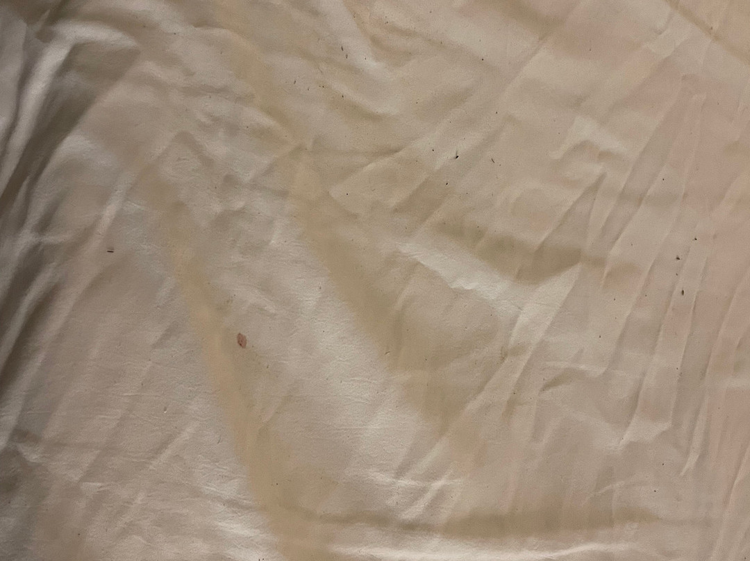 SureStay By Best Western Williams主图