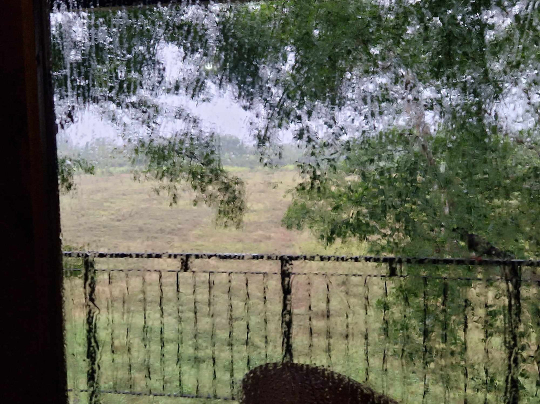 Wilpattu Tree House Hotel主图