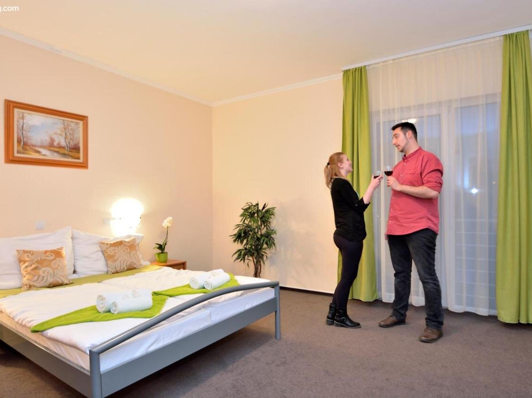 Viktoria Wellness Hotel主图