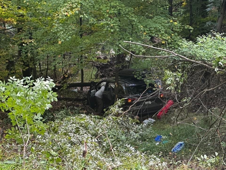 Dolly Sods Wilderness Area-Elkins必去景点