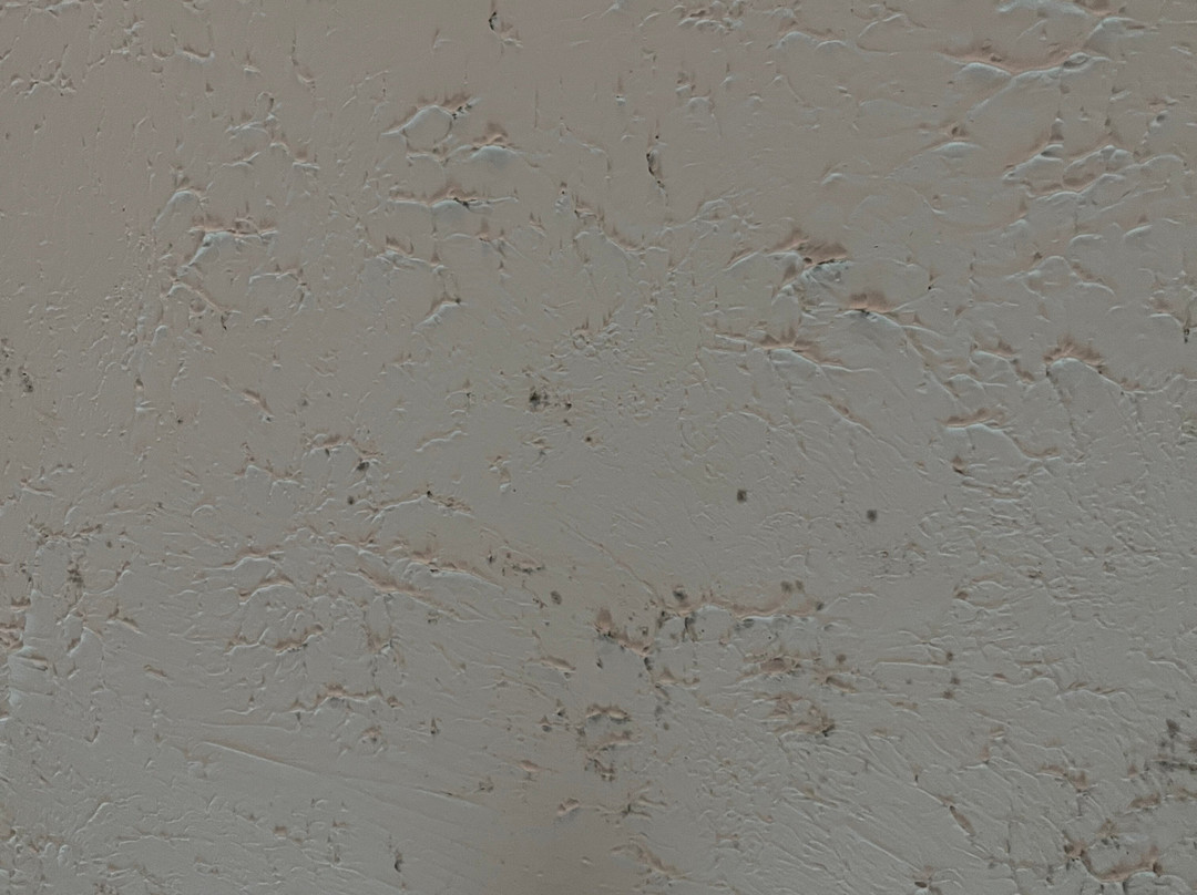 Southern Oaks Inn主图