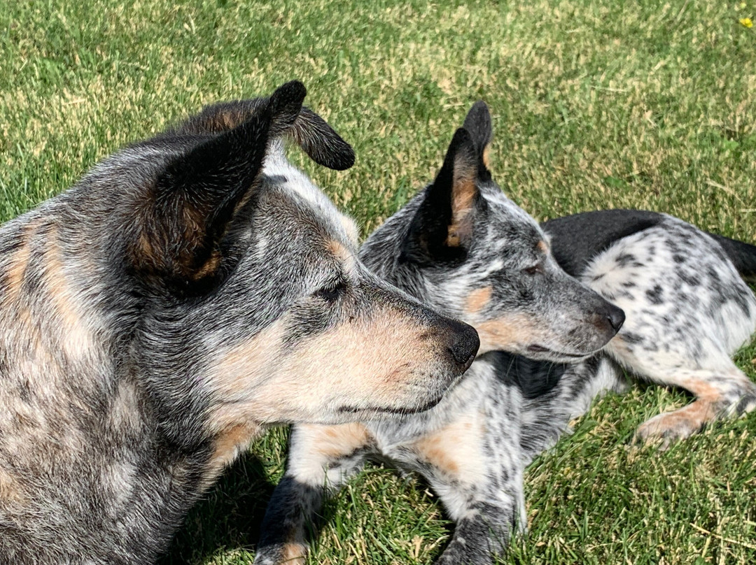 Barking Mad Farm B & B主图