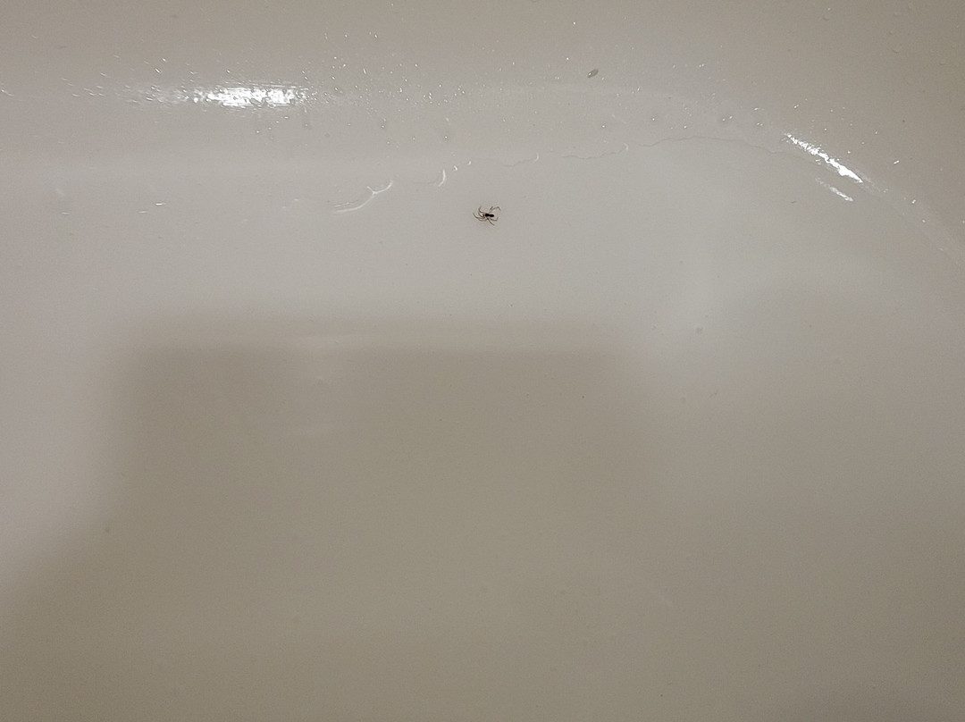 Bear Mountain Inn & Overlook Lodge主图