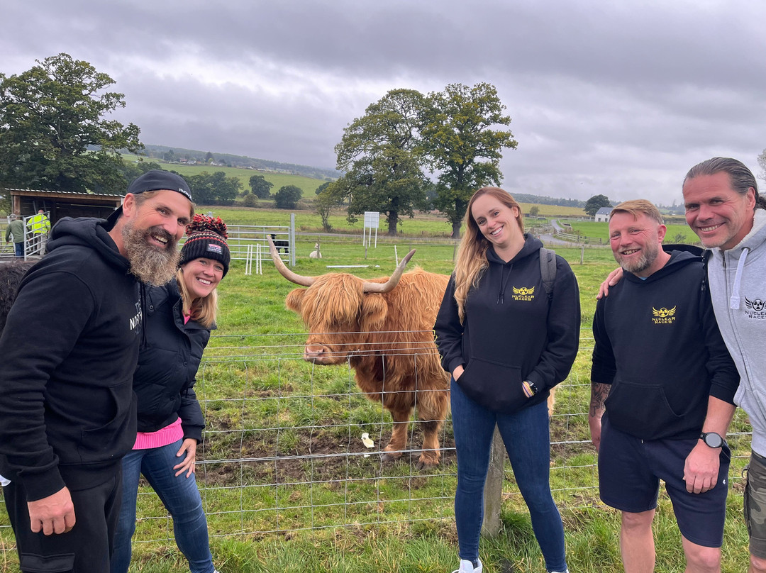 Robertson's - The Larder & Highland Cows - Beauly-Beauly必去景点