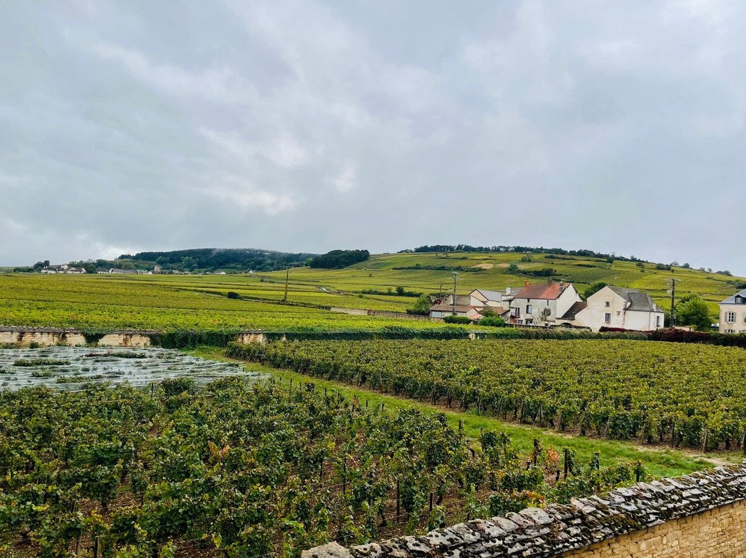 Les reveries du Clos derrière St Jean