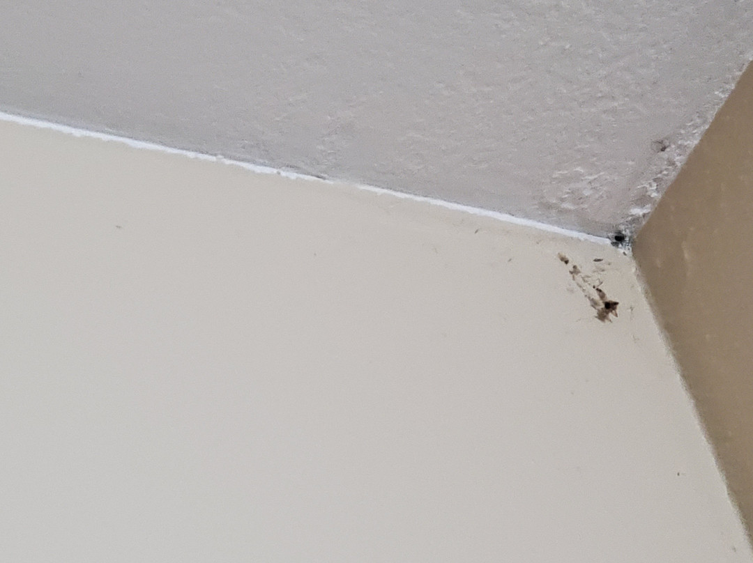 Baymont by Wyndham Florence/Muscle Shoals主图