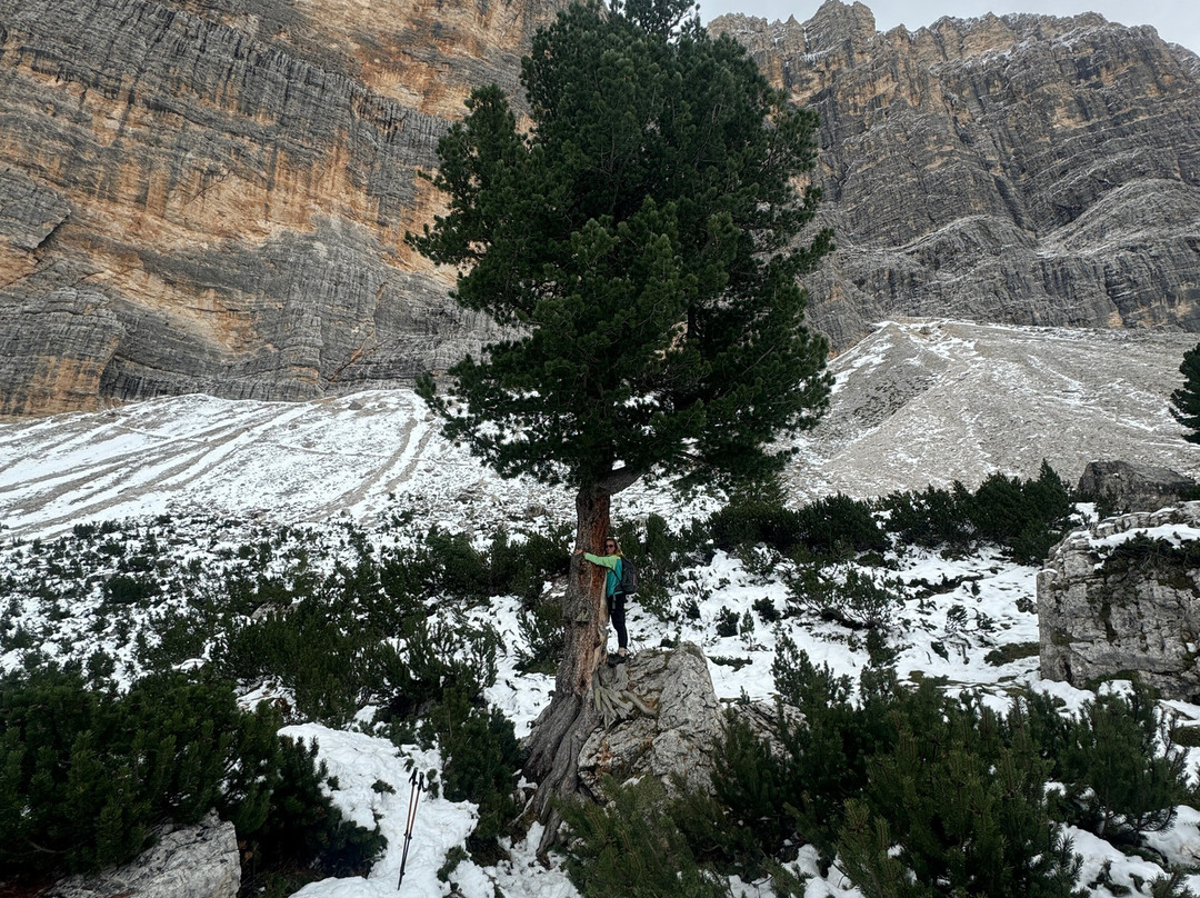 Holimites - Holiday into the Dolomites-巴迪亚必去景点