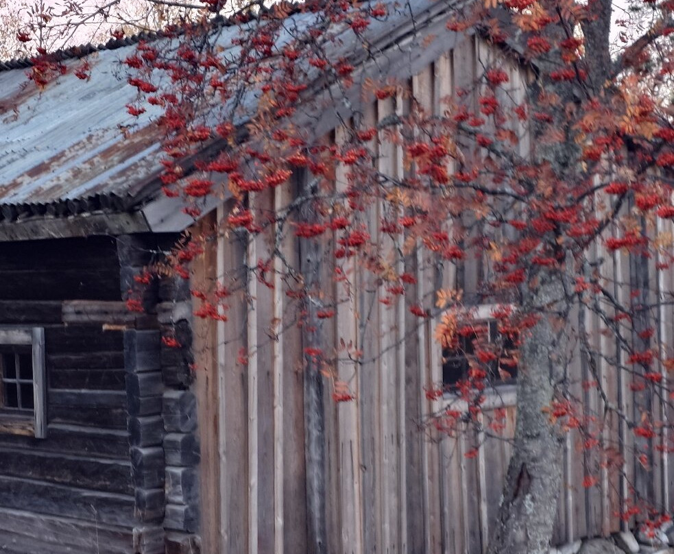 Vasternorrlands museum-Härnösand必去景点