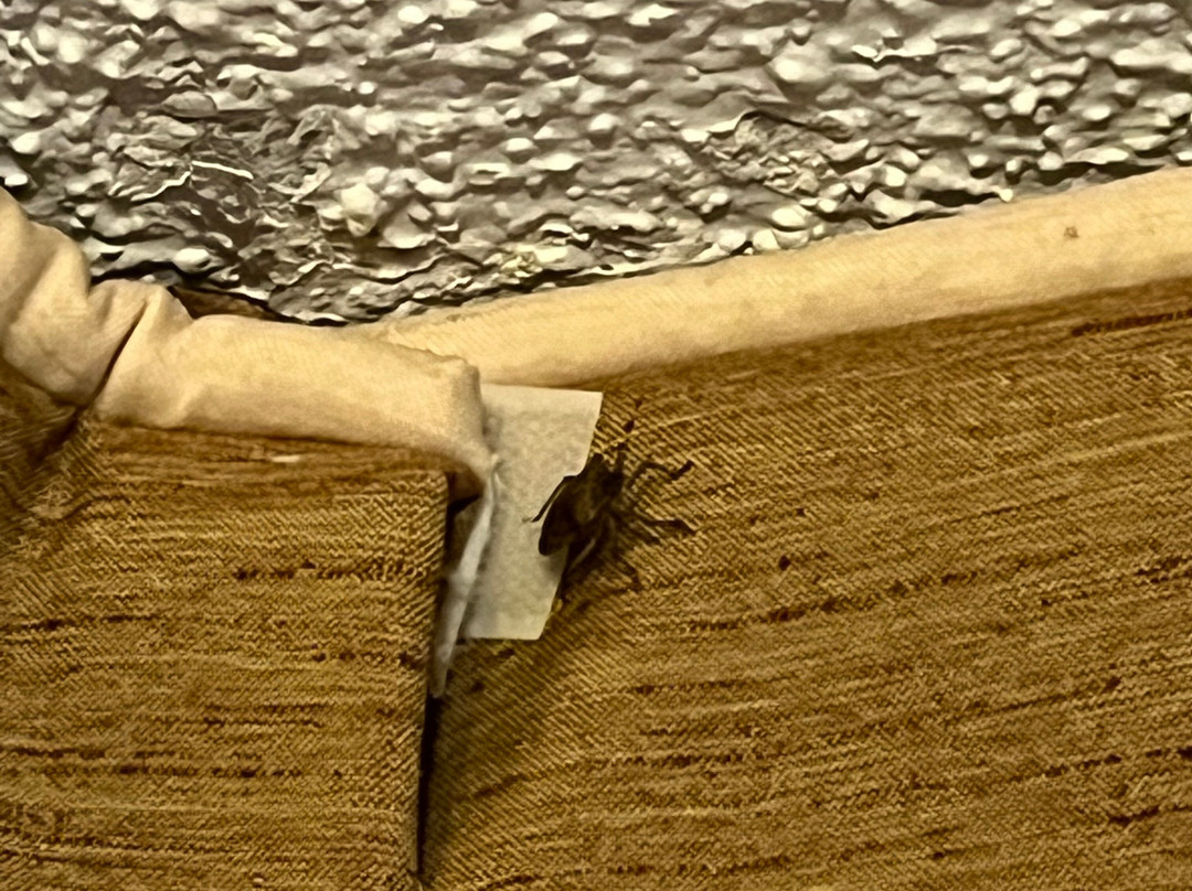 Best Western Lexington Inn主图