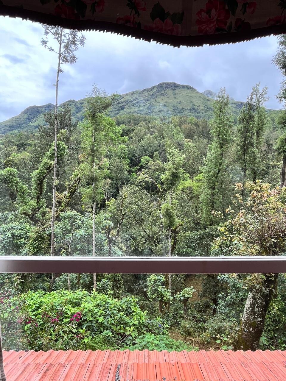 Thippanahalli Homestay-酒店景观