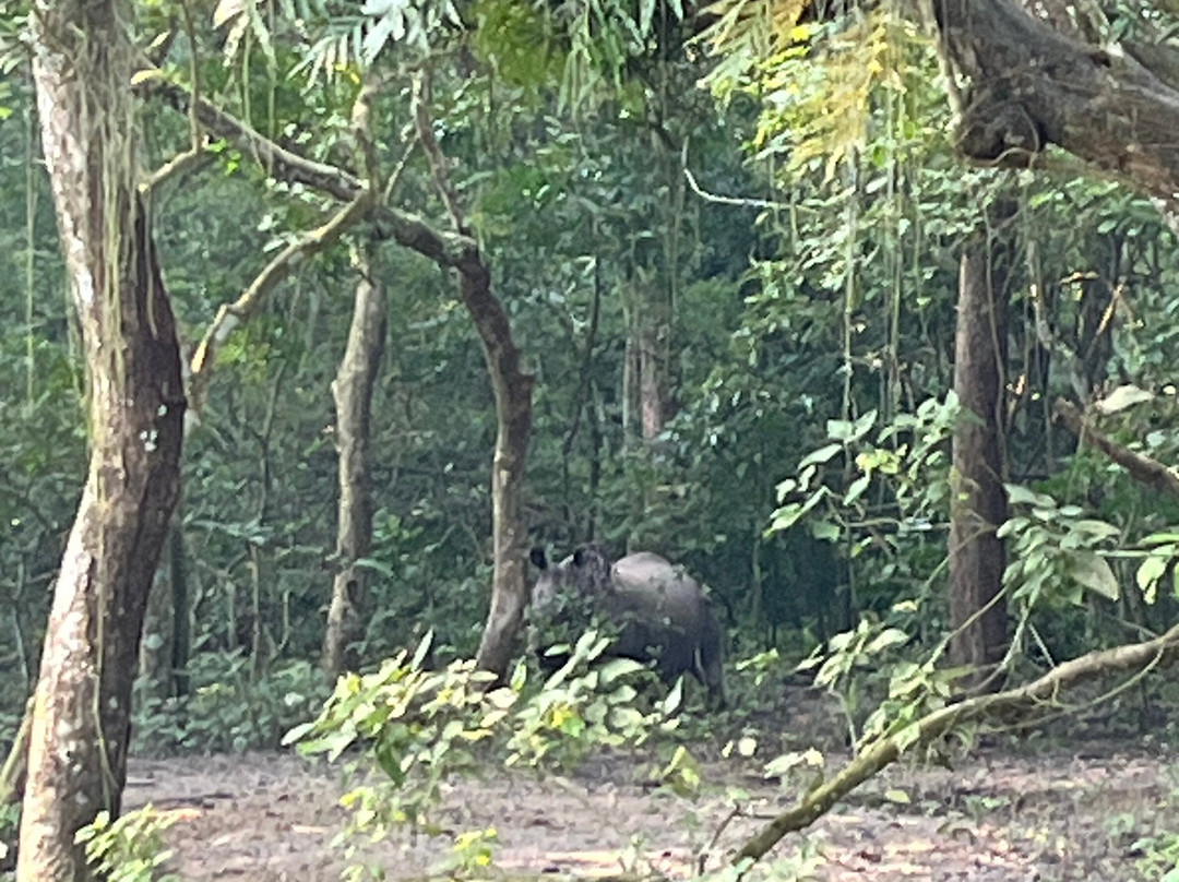 走进自然生态度假村