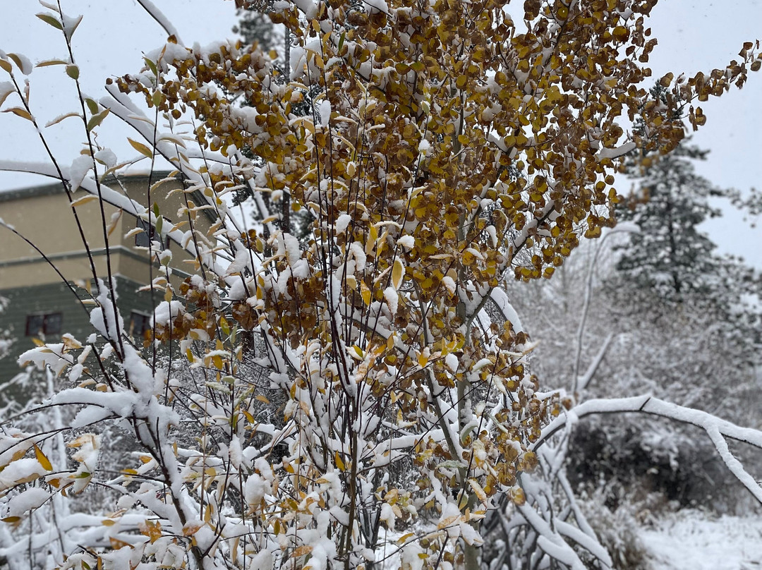 Walter Byron Park-弗里斯科必去景点