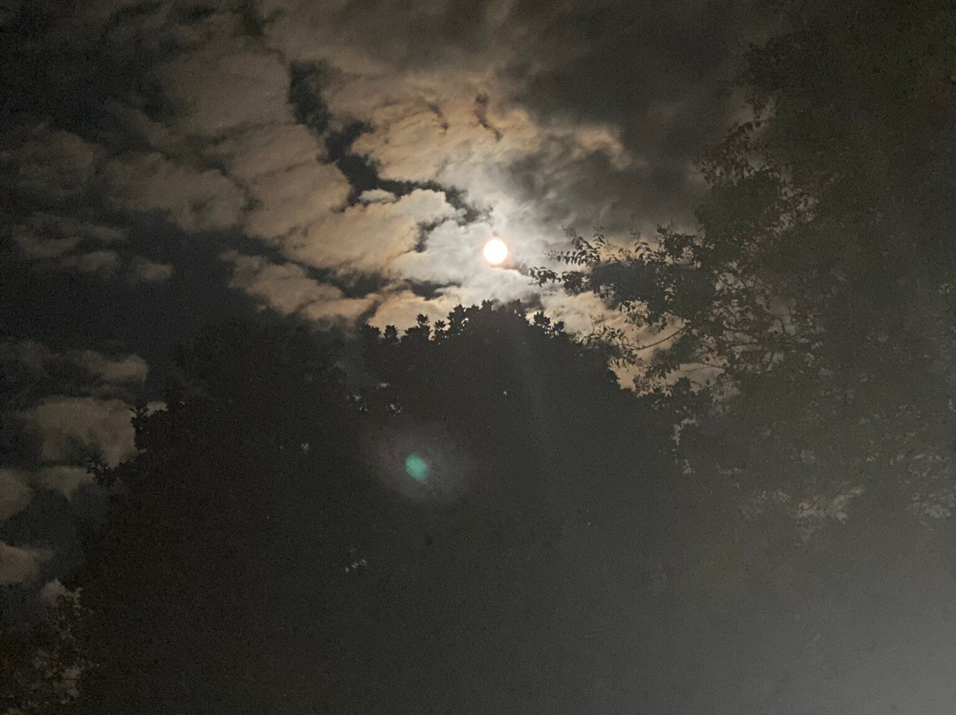 Riverstone Lodge主图