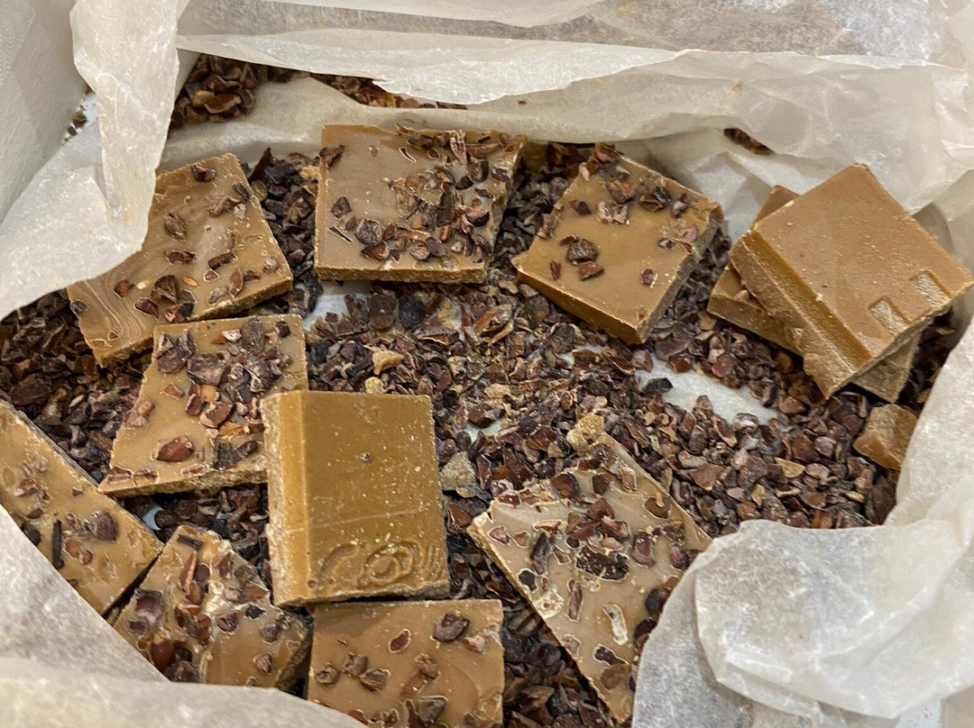 Tasty Tours Toronto-多伦多必去景点