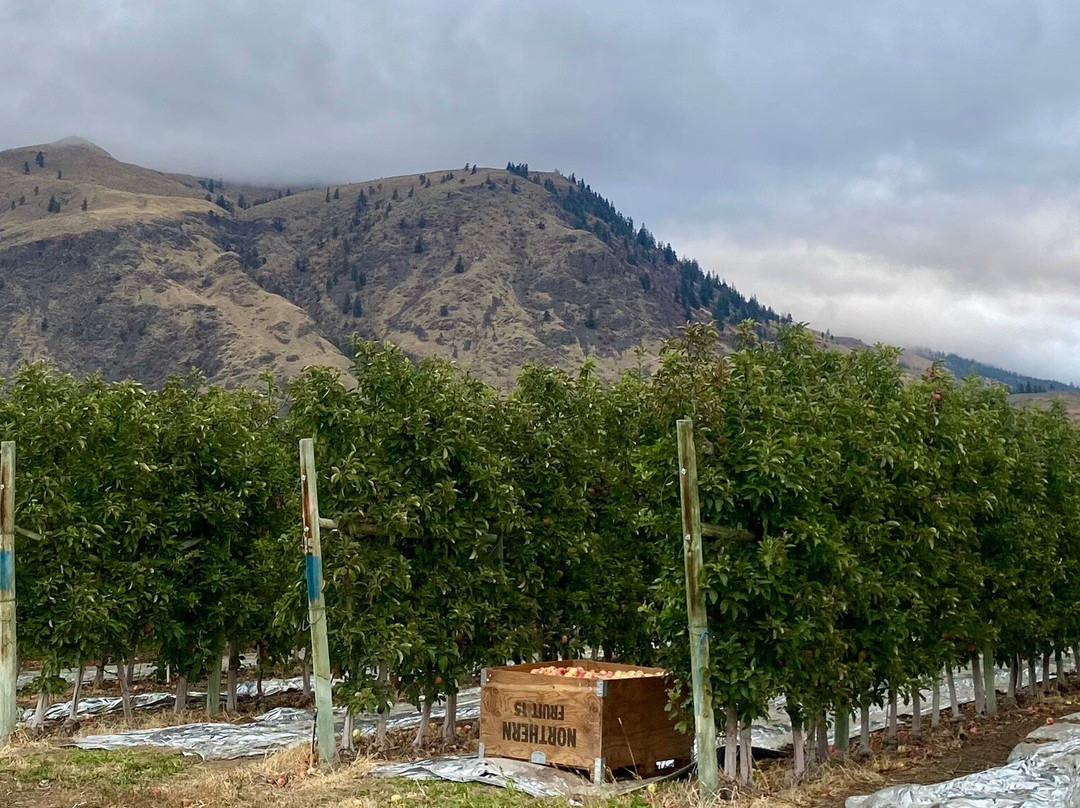 Crowsnest Vineyards主图