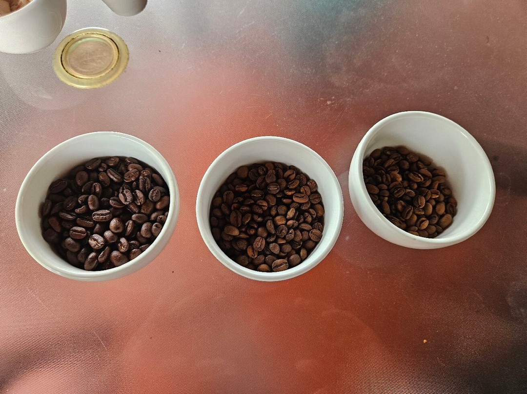 Boquete Coffee Tour景点图片