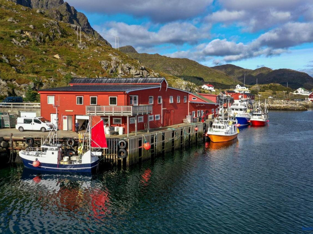 Fish Factory