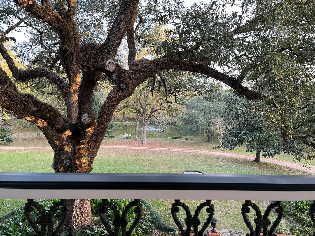 Brandon Hall Plantation主图