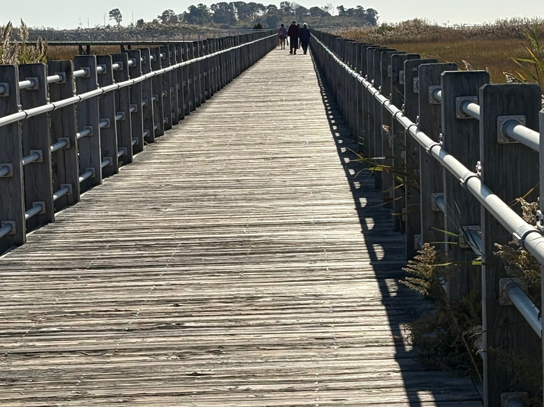 Silver Sands State Park-米尔福德必去景点
