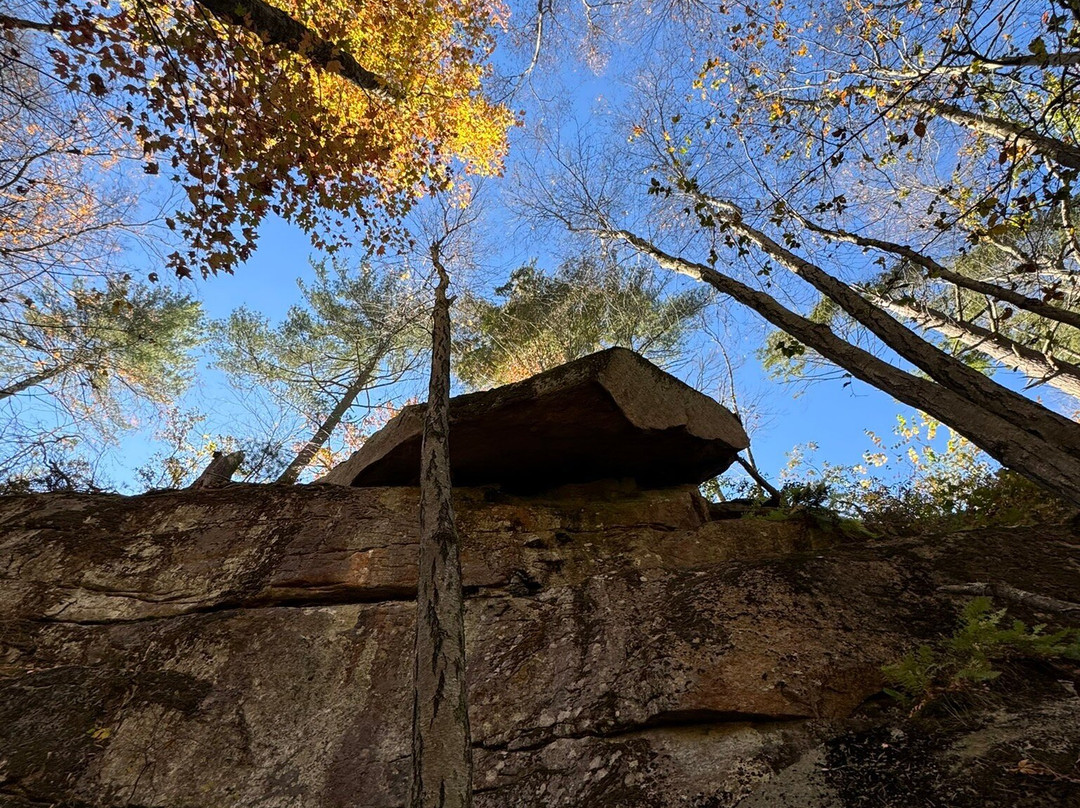 Thimble Islands Bed & Breakfast主图