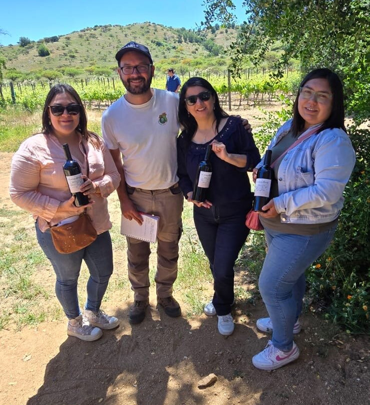 Viña Ranquilhue-Pumanque必去景点