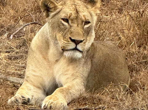 Traveling Man Safaris-庞帕诺比奇必去景点