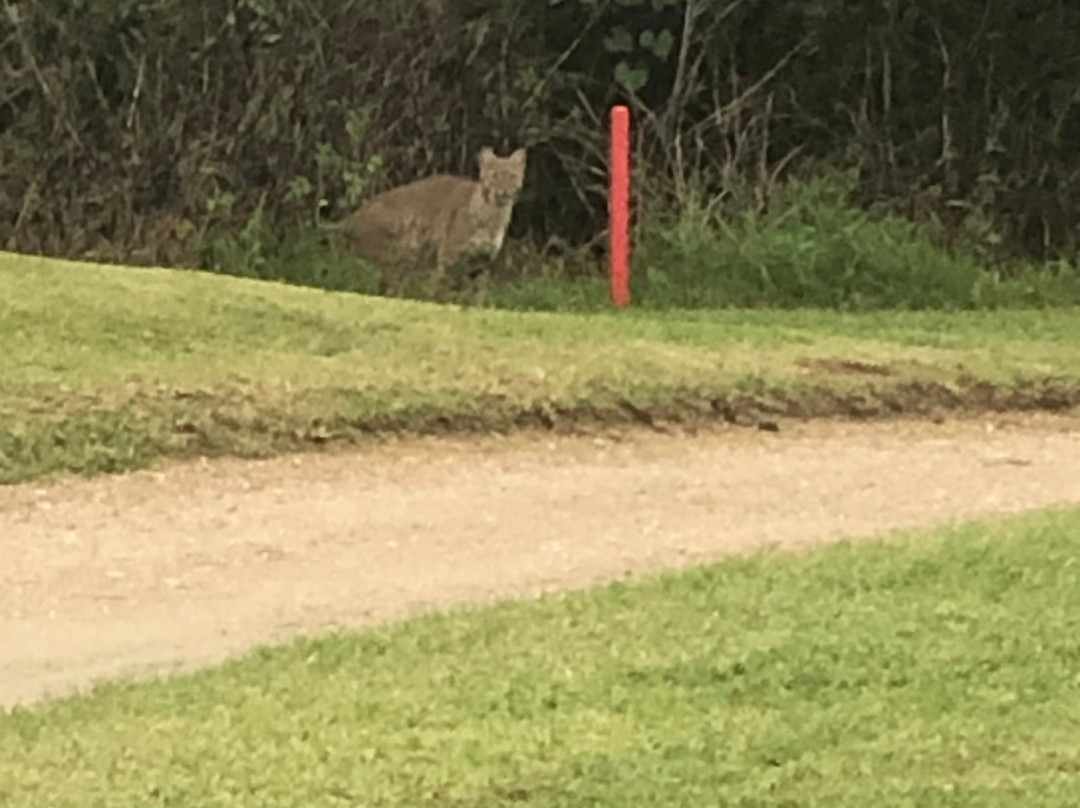 The Champions Club at Summerfield-斯图尔特必去景点