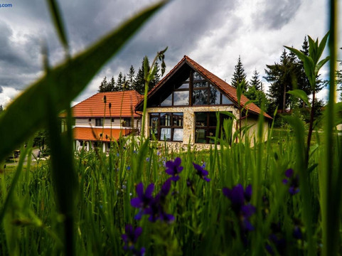 Pensiunea Romconcord