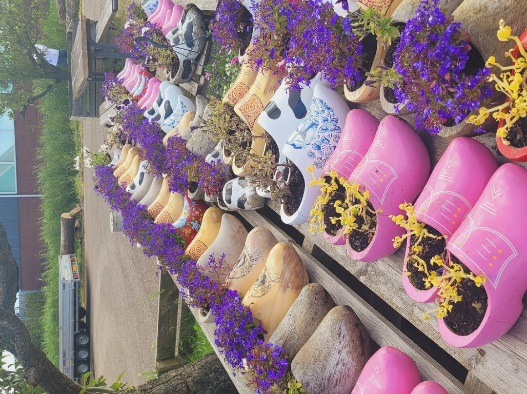 Irene Hoeve Clogs and Cheese Shop景点图片