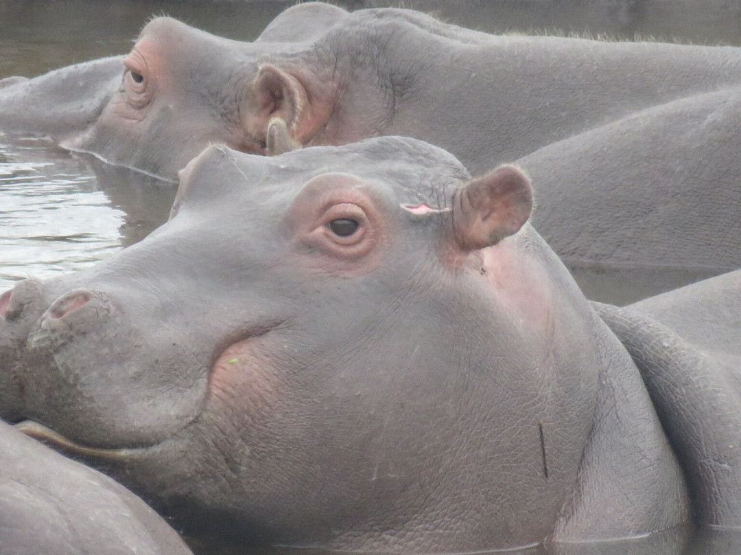 Afrika 24 Reisen-开普敦必去景点