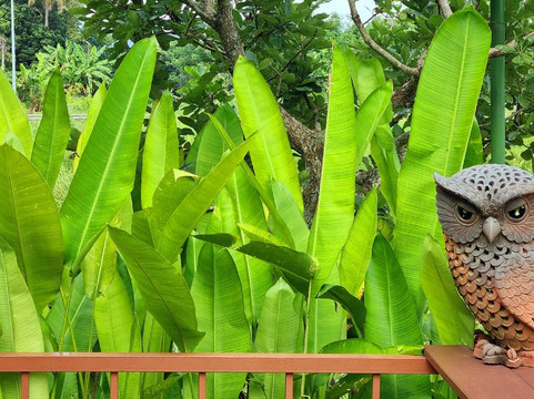 普山法度假村主图