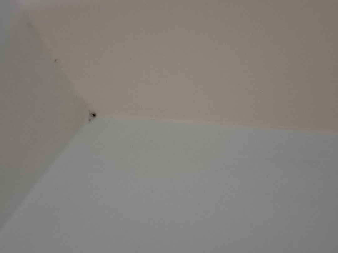 Hôtel Belle Vue & Spa主图