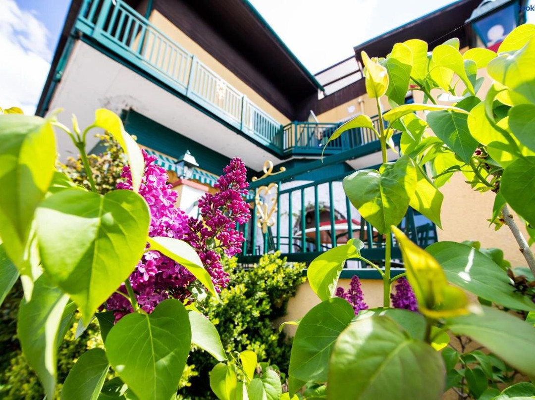 Landgasthof Zur Goldenen Traube