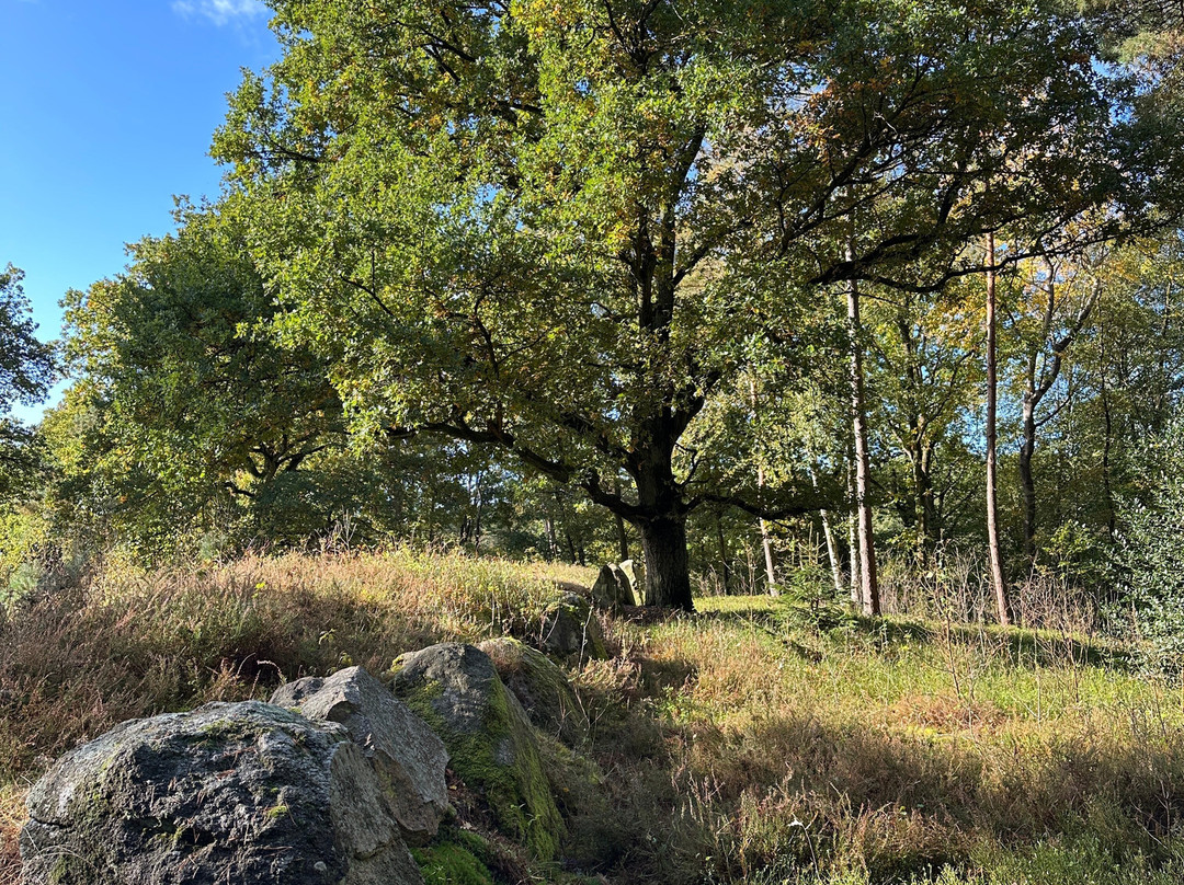 Oldendorfer Totenstatt-Oldendorf必去景点