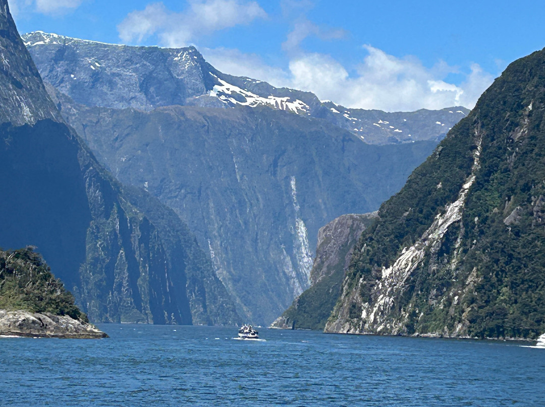 TT Tours-奥克兰中心地区必去景点