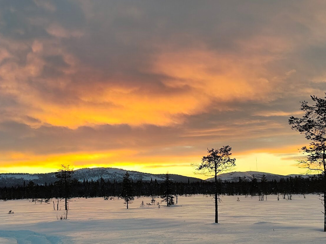 Uniq Lapland-Luosto必去景点