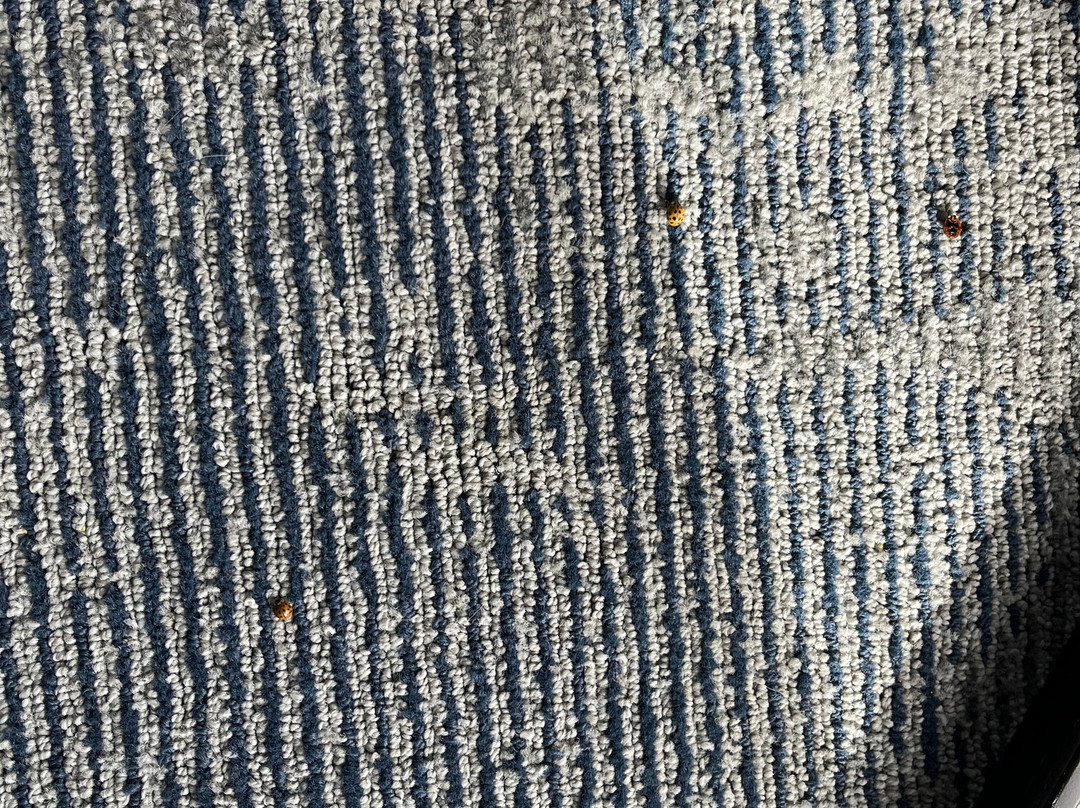 Hampton Inn By Hilton Cedar Falls Downtown主图