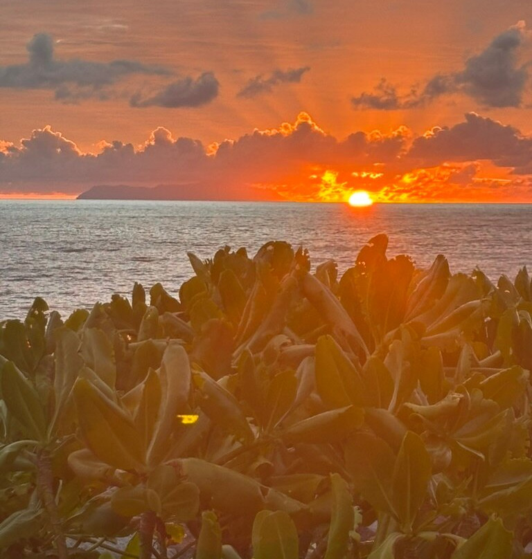 Cap Jean Marie Beach Villas主图