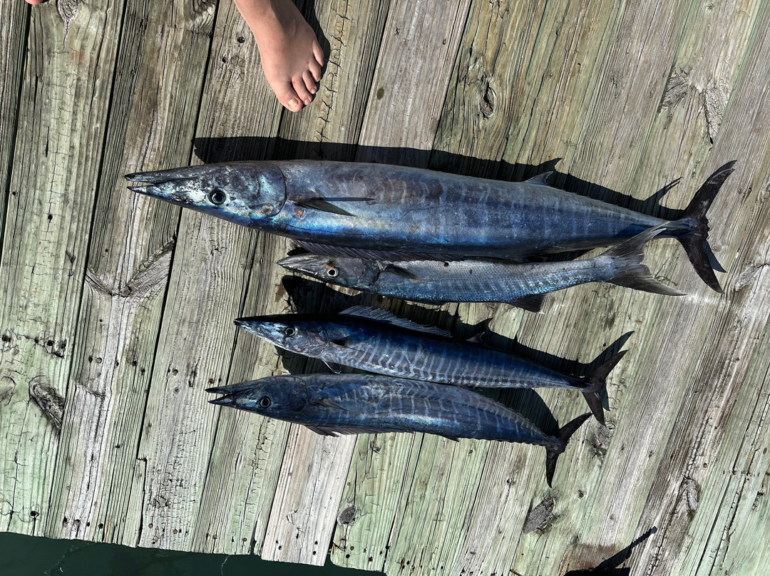 Catchin' Caicos-普罗维登西亚莱斯必去景点