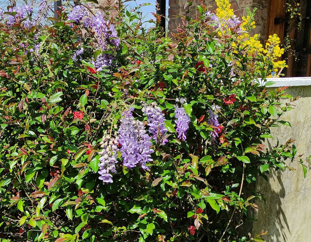 13 Bees Chambre d'Hote (B&B) and Beekeeping Holidays主图