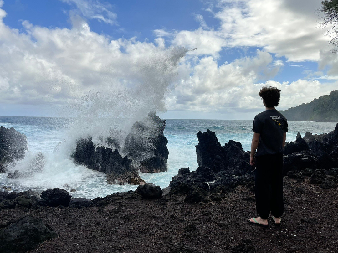 Laupahoehoe Beach Park-劳帕霍也霍也必去景点