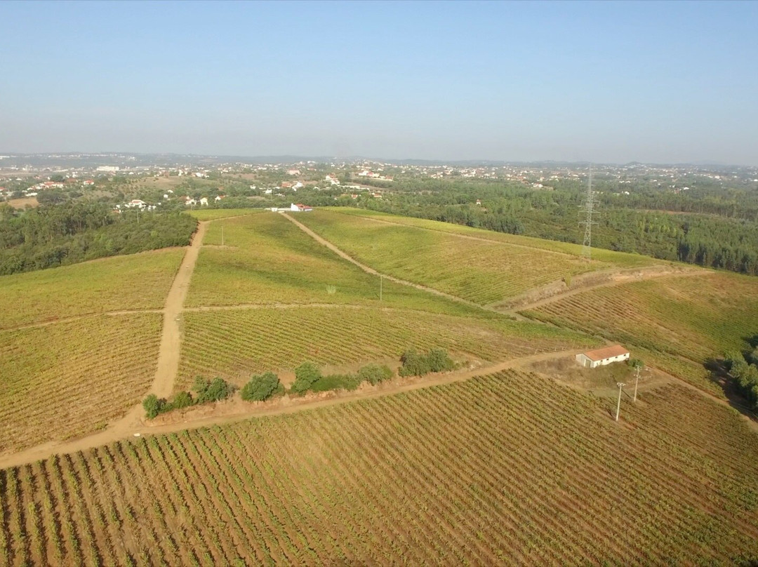 Herdade Dos Templários-Sao Pedro de Tomar必去景点