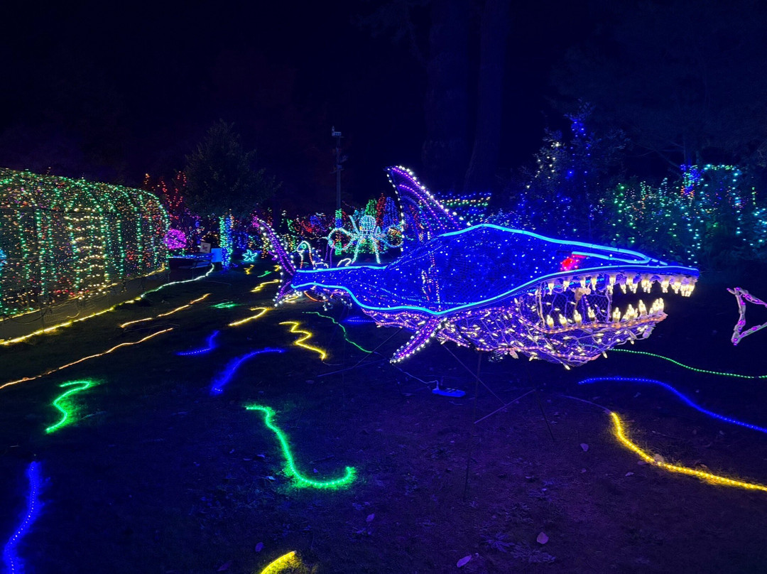 Azalea Park-布鲁金斯必去景点