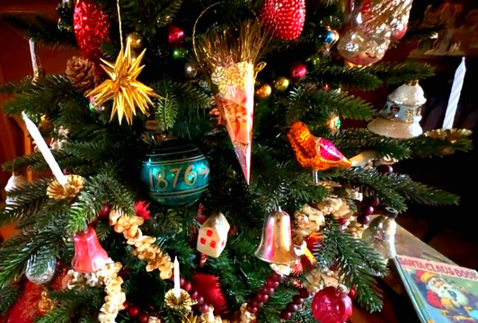 Tours With Mike-芝加哥必去景点