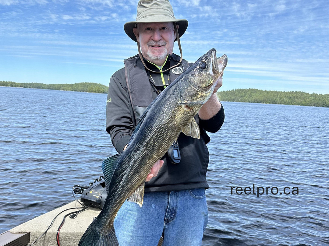 Reelpro Fishing Charters-Kipawa必去景点