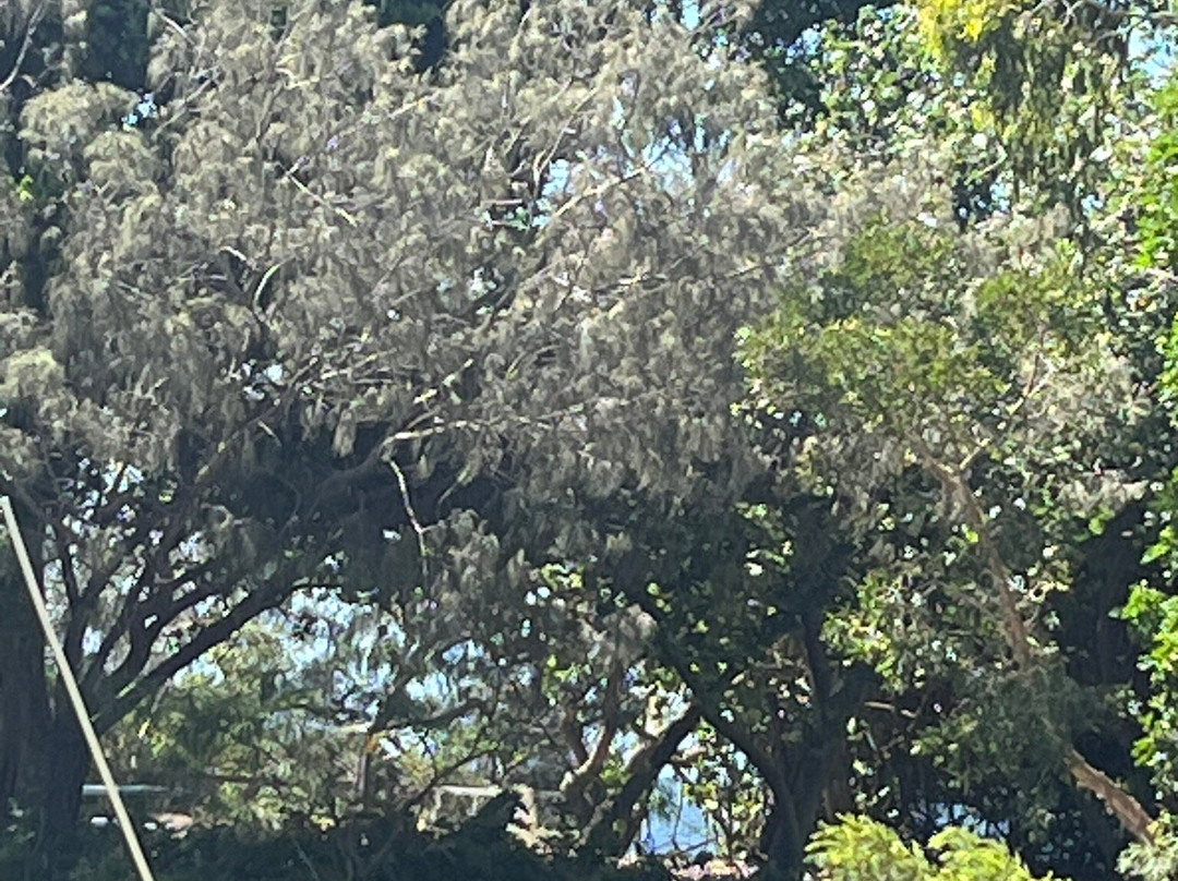 赫维湾汽车旅馆主图