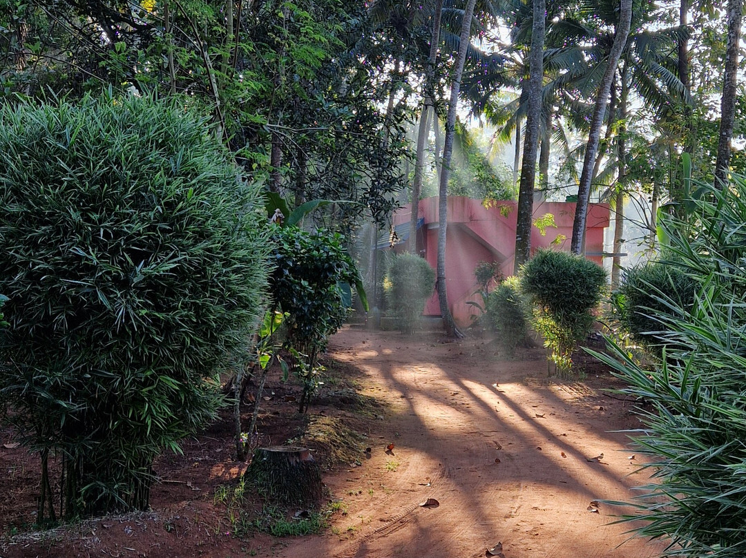 Ayurwakeup Ayurveda & Yoga Retreat主图